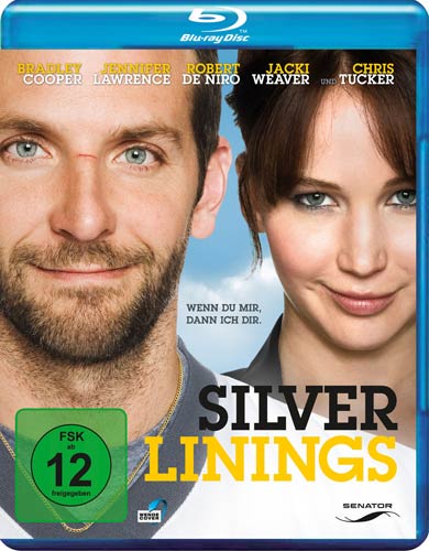 Silver Linings (BR) Min: 121/DD5.1/WS