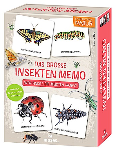Das große Insekten Memo - Wer findet die meisten Paare?