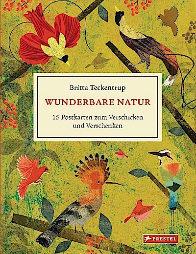 Wunderbare Natur (Postkartenset)