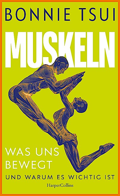 Muskeln. Was uns bewegt – und warum es wichtig...