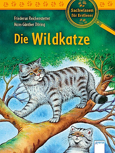 Sachwissen für Erstleser: Die Wildkatze
