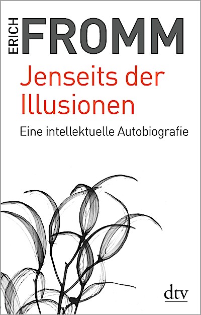 Jenseits der Illusionen