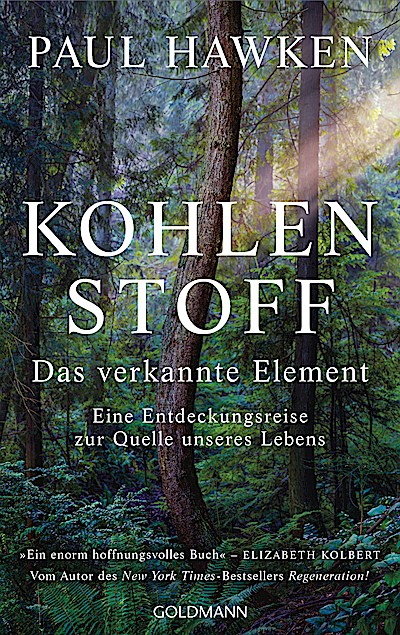 Kohlenstoff – Das verkannte Element