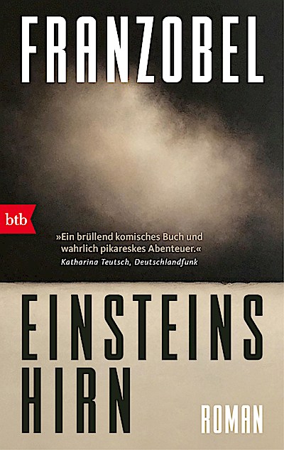 Einsteins Hirn