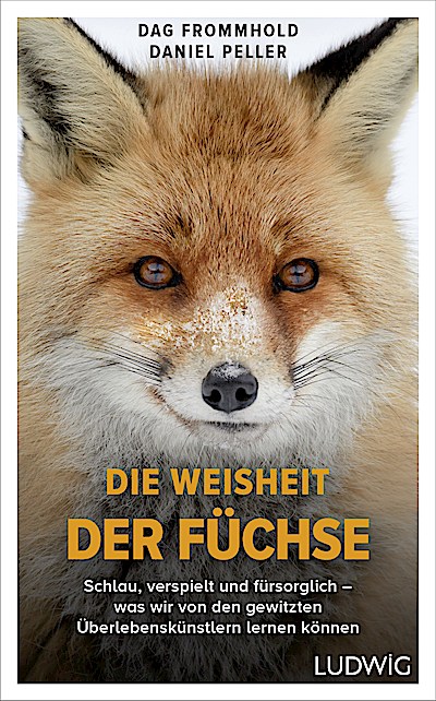 Die Weisheit der Füchse