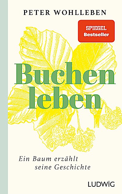 Sonderedition: Buchenleben