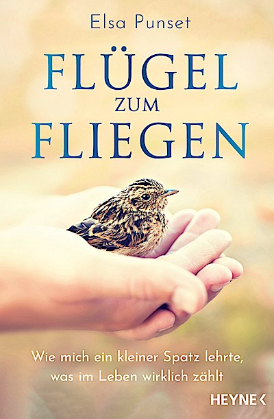 Flügel zum Fliegen