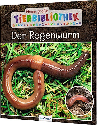 Meine große Tierbibliothek: Der Regenwurm