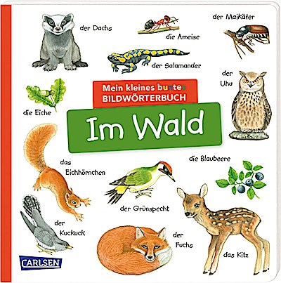 Mein kleines buntes Bildwörterbuch: Im Wald