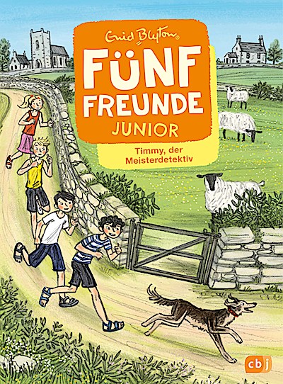 Fünf Freunde JUNIOR - Timmy, der Meisterdetektiv