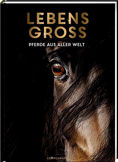 Lebensgross: Pferde aus aller Welt