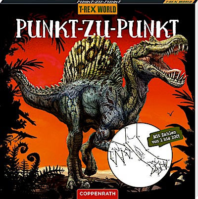 Punkt-zu-Punkt