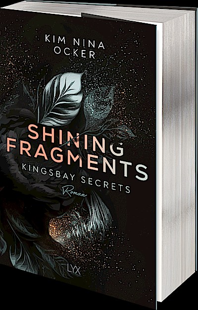 Shining Fragments