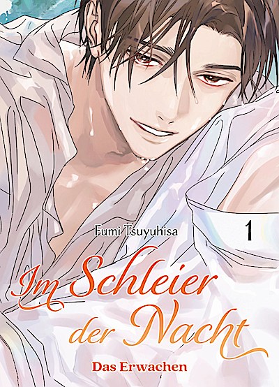 Im Schleier der Nacht: Das Erwachen 01 (Im Sch...