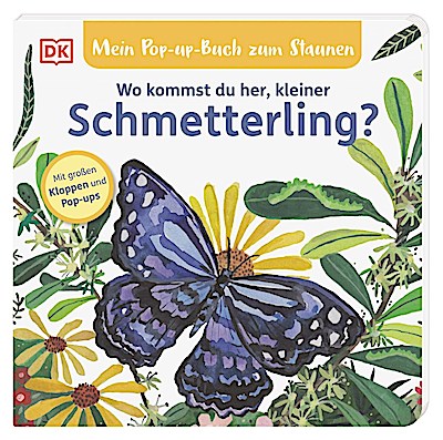 Mein Pop-up-Buch - Wo kommst du her kleiner Schmetterling?