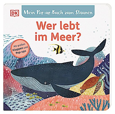 Mein Pop-up-Buch - Wer lebt im Meer?
