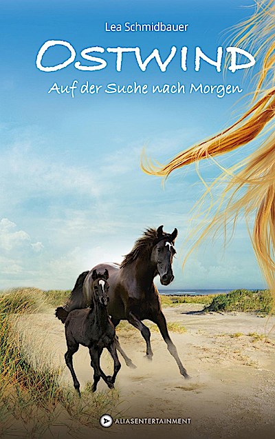 Ostwind 4 - Auf der Suche nach Morgen (Taschenbuch)