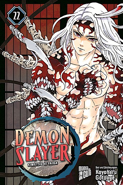 Demon Slayer - Kimetsu no Yaiba 22